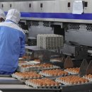 추구농장 이미지