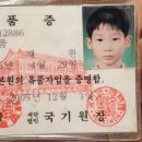 워너비태권도장 이미지