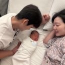 으뜸원동물병원 | 슬기로운 조리원생활 일기 (라솜 산후조리원 창경궁점 후기 시그니처룸, 내돈내산 )