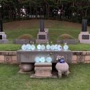 용산 국가유산 야행 이미지