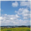 올래민박 이미지