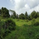 색달동-19 이미지