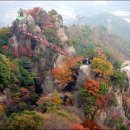 일광초등학교 이미지