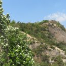 봉수대로 이미지