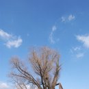 상북사거리 | ‘상북 신광사 ~ 두서 내와리’[제3코스]