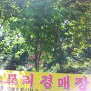 신창이용원 이미지