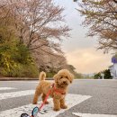 아인스 동물병원 이미지