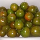 남구-038 이미지