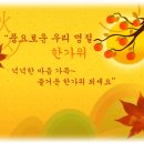사르넬리 이미지