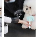 두즈 이미지