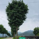 풍산리 마을회관 이미지