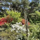 숲속한옥 이미지