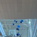 세븐일레븐(버스터미널점) | 12월 후쿠오카 당일치기 여행 후기, 날씨, 아임도넛, 다이소, 토피파크