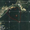 공주농장2 이미지