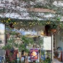 사랑채작은도서관 | 부암동 산책_윤동주 문학관_청운문학도서관_청와대 사랑채 전시 관람