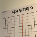 장안29 | 장안동필라테스 다온필라테스 장안점 직접 등록하고 느껴본 후기