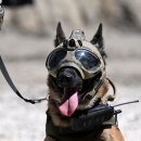 금주식당 이미지