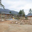 설아다원 이미지