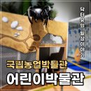 개미휴게식당 | 국립농업박물관 어린이박물관 + 종이책만들기 무료체험 (관내식당 점심메뉴 추천)