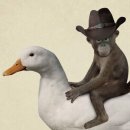 무우헌 | 살쪘어요 역마살쪘어요