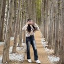 엠제이헬스케어 | 대전 다이어트주사로 뱃살 고민 해결!-12감량 실화...? (가격, 효과, 부작용, 정보)