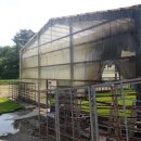 서천소방서-51 이미지