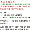 송정자연휴양림야영장 이미지