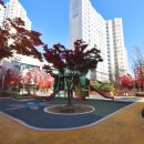 시티 우리공인중개사사무소 이미지