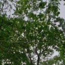 유림라이프 이미지