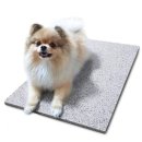 시원애견 이미지