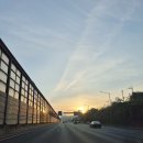 여주-0852 | 안개지옥 금강센테리움cc 라운딩 다녀왔어요 :(