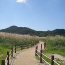 옥산제방 이미지