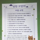 낭만고양이 | 대전 둔산동 고양이 카페 &lt;캣카페 낭만고양이&gt; 후기