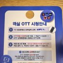 하운드광주하남 이미지