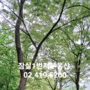잠일병설유치원 이미지