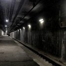 신설동사람들 이미지