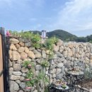 산과들민박 이미지