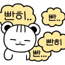 모어스토어