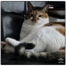 이섭대천로 1380번길 1 네이버블로그
