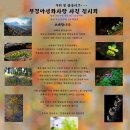 부산진구청 이미지