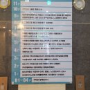 레푸스 화정점 이미지