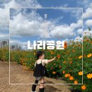 씨유 의정부시민공원점 | 아이랑 가볼만한 9월 축제 :: 양주 나리공원 주차 꿀팁 &amp; 꽃밭관람카트 후기