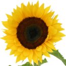 주식회사 매직영상 이미지