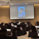 필413 | W4. 서울 웨딩홀 더링크호텔 웨딩 투어 후 최종 계약 + 시식 후기