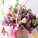 2025년11월15일.연중 제32주간 토요일.성 대 알베르토 주교 학자 또는 복되신 동정 마리아＜하느님께서는 당신께 선택된 이들이 브르 이미지