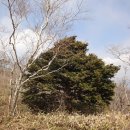 차돌배기로1 이미지