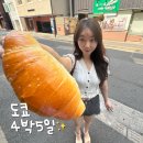 에비수마리오 | 도쿄 4박5일 여행 일정, 경비 총정리 1편