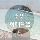 카페또아 | 전남 신안 신상 대형카페 아페드셀 방문후기