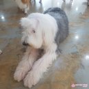 까페 개정촌 이미지