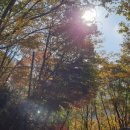 미선 식당 이미지